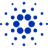 Cardano